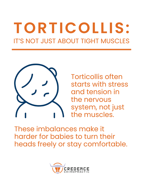 The Real Reason Stretching Isn’t Fixing Your Baby’s Torticollis