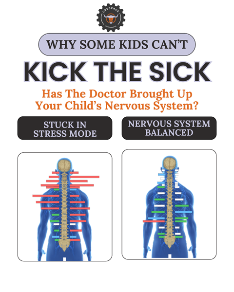 Frustrated with Traditional Healthcare Approaches That Just Don't Work? Read This!