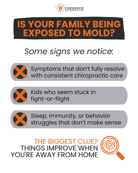 MCAS, POTS, and EDS: The Nervous System Connection