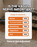 The Root Cause Most Autoimmune Doctors Never Check