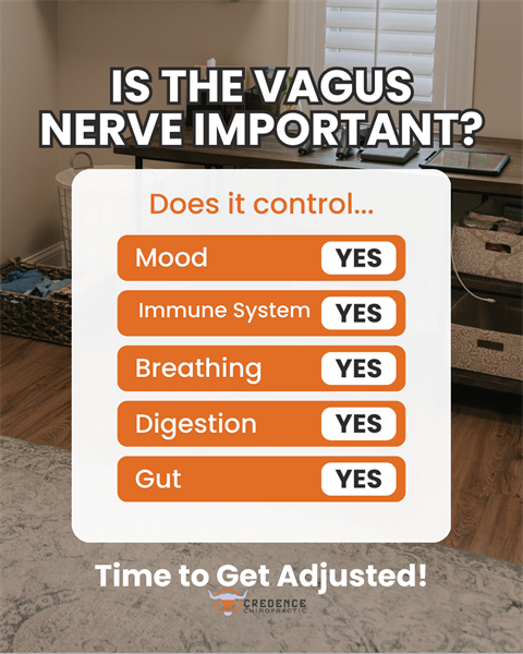 The Root Cause Most Autoimmune Doctors Never Check