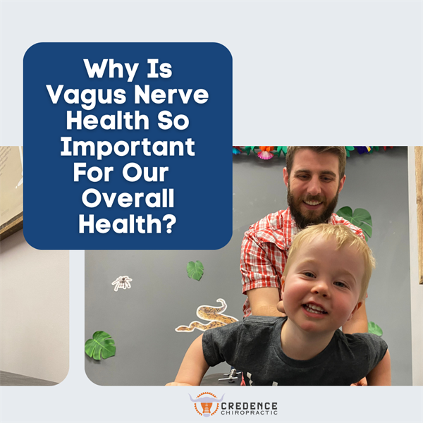 Why is Vagus Nerve Health So Important for Our Kids?