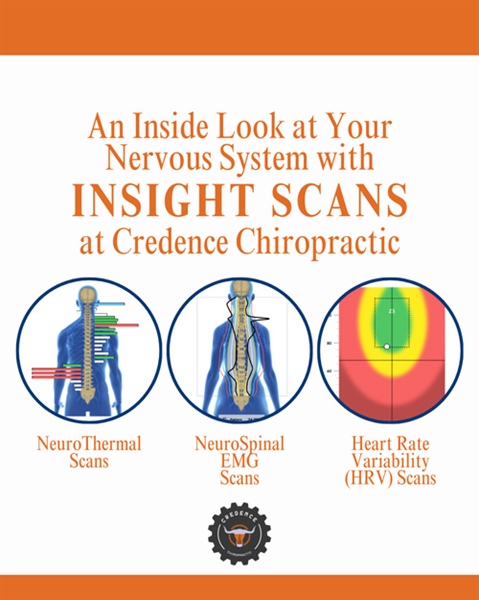 What To Expect When You Come To Credence Chiropractic