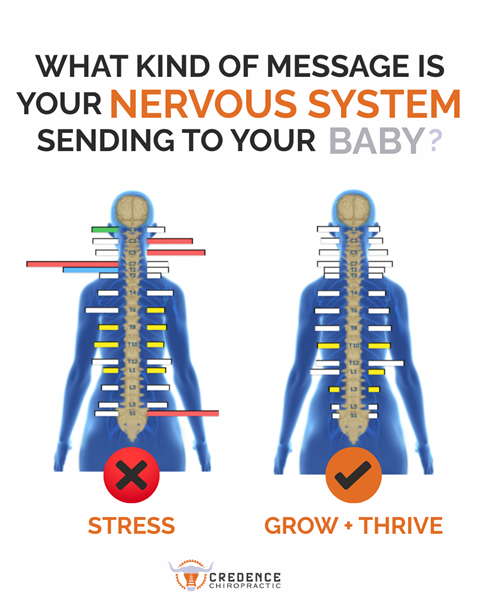 Your Baby's Brain Doubles in Size - Here's What You Must Know