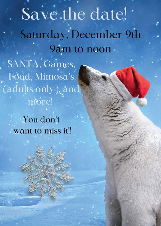 Polar Express Flyer